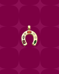 Colourful horseshoe