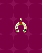 Colourful horseshoe